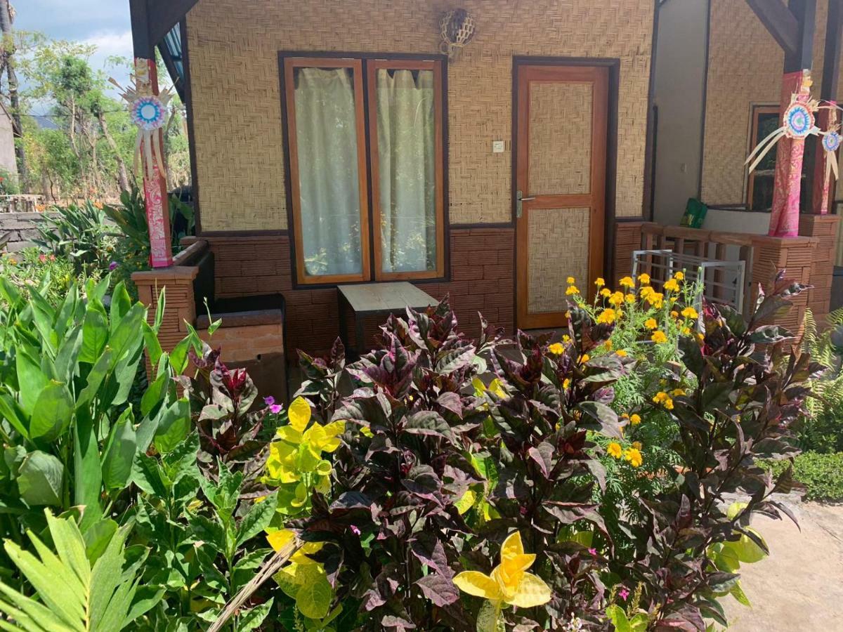 Taman Menjangan Homestay By Snorkelingmenjangan Banyuwedang Exterior photo